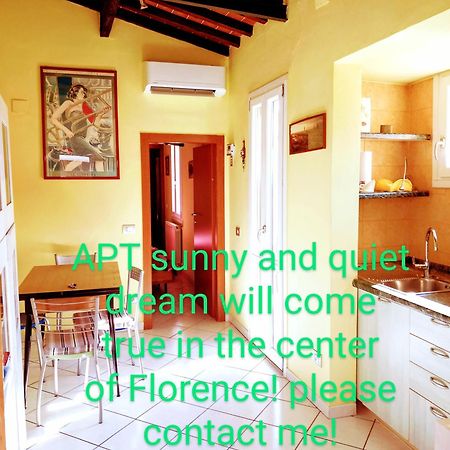 Apt Bright, Quiet! In The Center. Florencia Exterior foto
