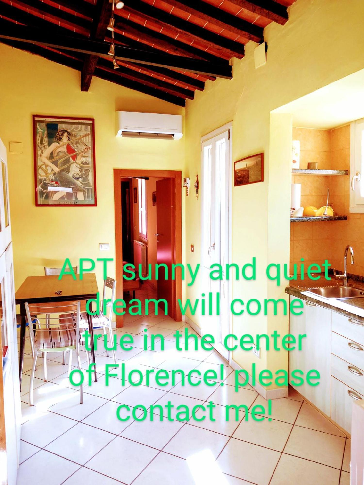 Apt Bright, Quiet! In The Center. Florencia Exterior foto